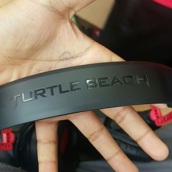 Turtle beaches - Picture 4 of 6
